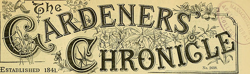 Image from page 74 of “The Gardeners’ chronicle : a weekly illustrated journal of horticulture and allied subjects” (1874) Image from page 74 of “The Gardeners’ chronicle : a weekly illustrated journal of horticulture and allied subjects” (1874)